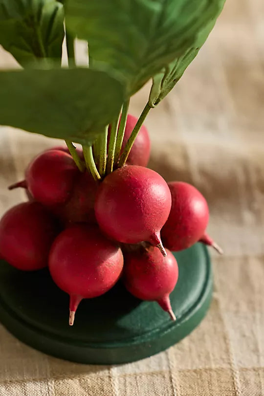 Vegetable Taper Holder